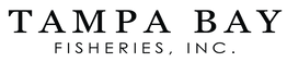 Tampa Bay Fisheries, Inc.