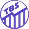 TBS Accounting Firm