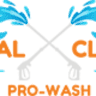 Total Clean Pro-Wash
