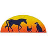 Town & Country Veterinary Hospital