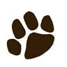 Teddy Bear Preschool
