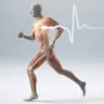 Tee Live Fitness And Kinesiology