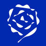 TEN ROSEs