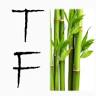 Tera Firma Massage Spa