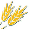 Terra Agro Invest Ltd.