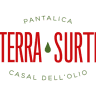 Terra Surti