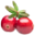 Cranberry Shed