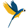 Texas Avian & Exotic Hospital