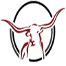 Texas Longhorn Tours