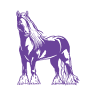Texas Posh Pony Parties