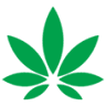 Thai Cannabis Club
