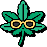 Thai Top Shelf Cannabis Dispensary