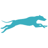 Canine Cruciate Center of New England