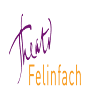 Theatr Felinfach