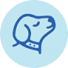 The Barking Boutique