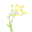 The Bloom - Thảo Điền