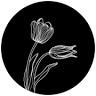The Blue Tulip Woolery
