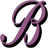 The Bra Ladies Boutique LLC