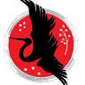 The Budo Academy LLC
