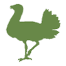 The Bustard Inn & Restaurant
