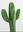 Cactus Lounge Boutique - Clothing and Gifts