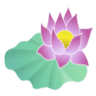 Cafe Lotus