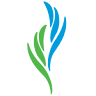 The Carolina Center for Behavioral Health