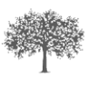 The Cherry Tree Inn
