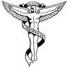 The Chiropractic Clinic