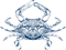 The Choptank