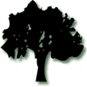 Cottonwood Inn Bed & Breakfast