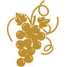 The Crazy Cork Wine Bar