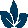 The Dispensary — Crested Butte