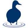 The Duck