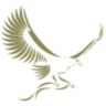 The Eagle At Barrow