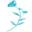 The Face Place