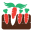 Flying Carrot Farm