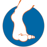 The Foot Clinic