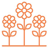 Frances Florist
