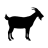 The Frozen Goat
