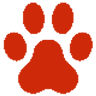 The Paw Pad
