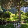 The Estate at Glenora Falls