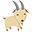 The Goat Yoga