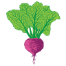 The Hunger Coalition