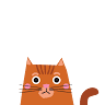 TheKittyCatBox