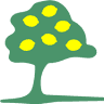 The Lemon Tree
