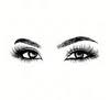 The Lash and Brow Studio