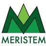 Meristem