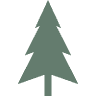 The Old Grove Christmas Tree Farm