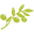 The Olive Press